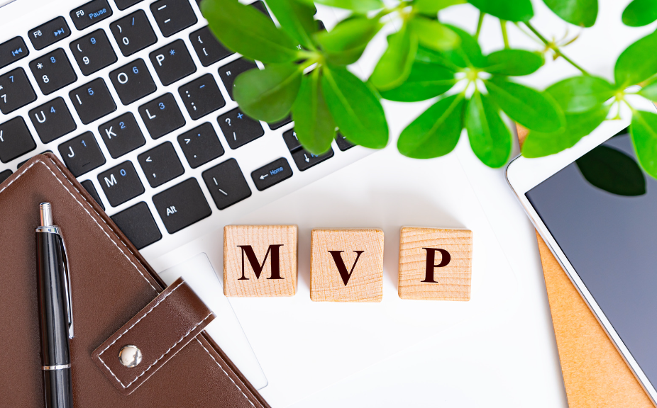 MVP検証事業